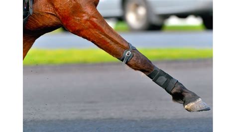 letrot calendrier|parcours au trot letrot.